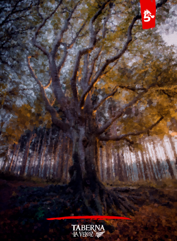Un paisaje con cierto toque otoñal con colores anaranjados. En el centro de la imagen hay un enorme árbol anciano cuyas raíces se extienden por el bosque y alrededor un gran bosque de árboles muy similares pero mucho más jóvenes.